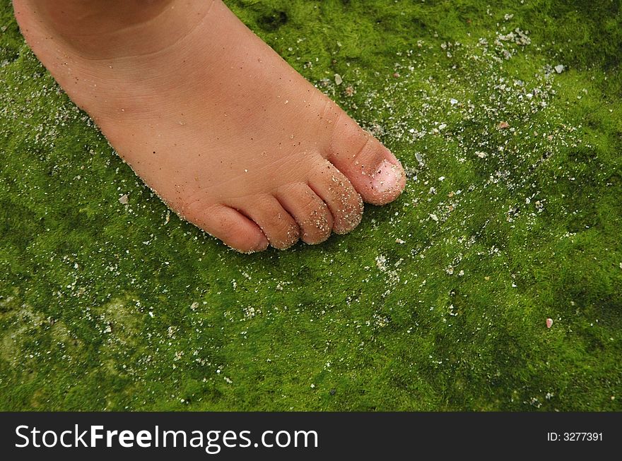 Child's foot stepping onto green moss. Child's foot stepping onto green moss