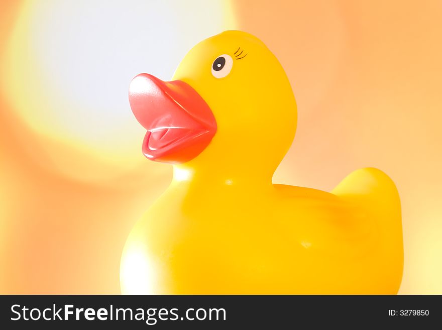 Rubber duck in the bath