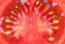 Slice Of Tomato Isolated On A White Background Royalty Free Stock Image Slice Of Tomato Isolated On A White Background Royalty Free Stock Image