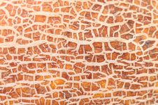 Melon Skin Texture Close Up. Stock Images Melon Skin Texture Close Up. Stock Images