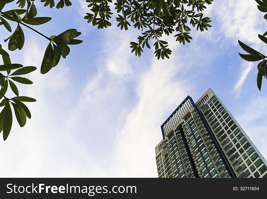 High Rise Building With Green Tree Leaf In Blue Sky