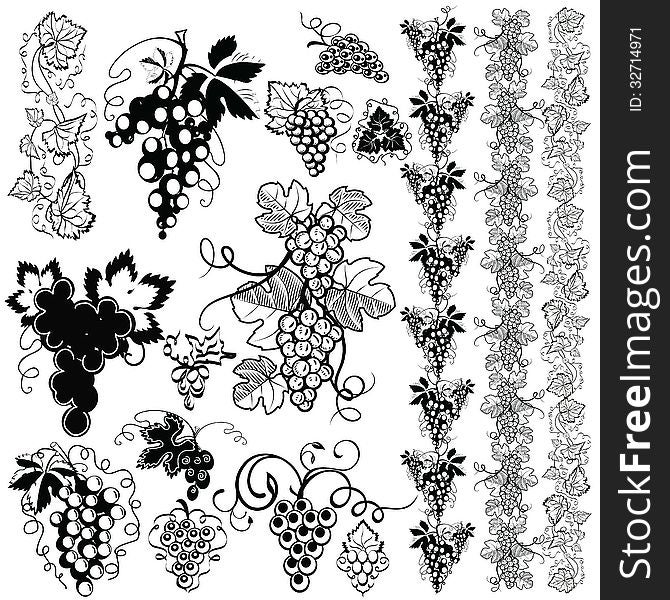 Elements of the pattern of grapes on a white background. Elements of the pattern of grapes on a white background.