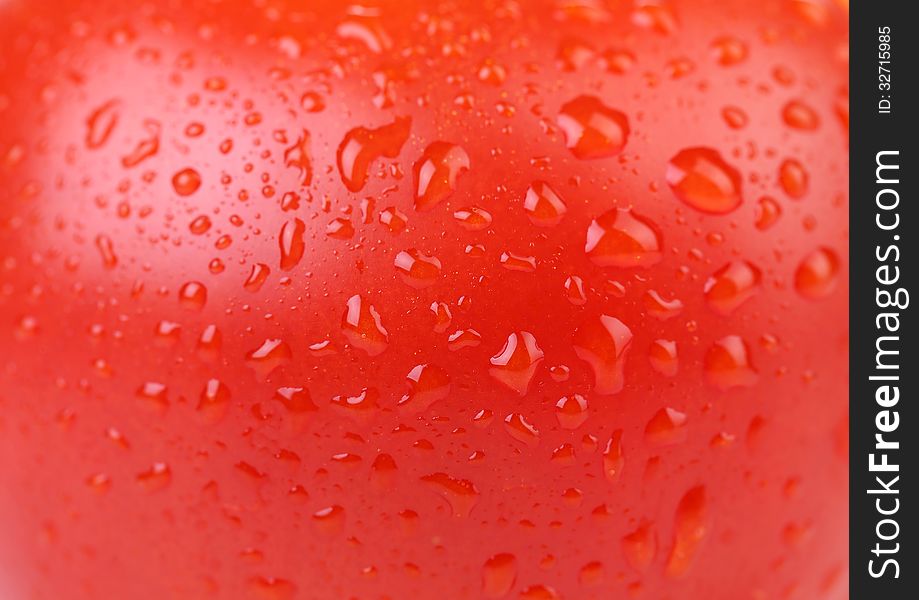 Water drops on red tomato. Close up. See my other works in portfolio.