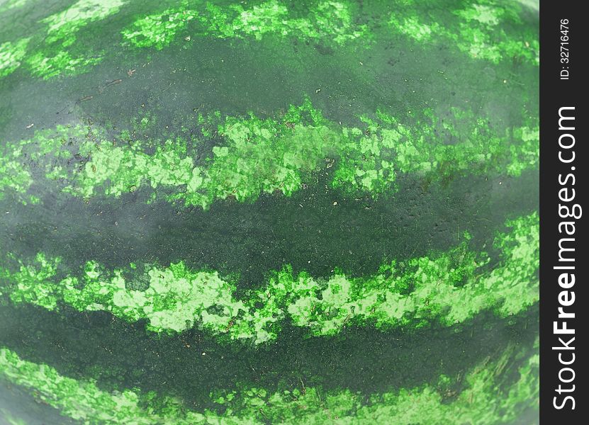 Watermelon texture. Strips disposed horizontally. Whole background.
