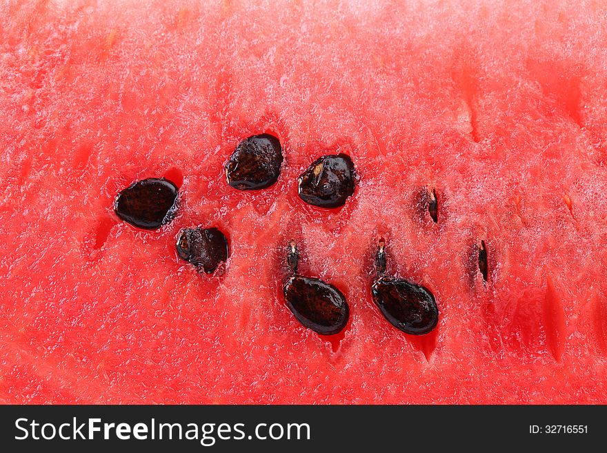 Slice of watermelon. Close up. Whole background. See my other works in portfolio.