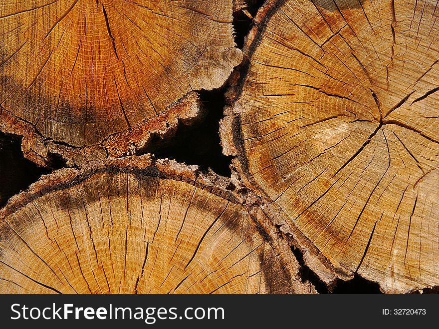Close up of three wood logs