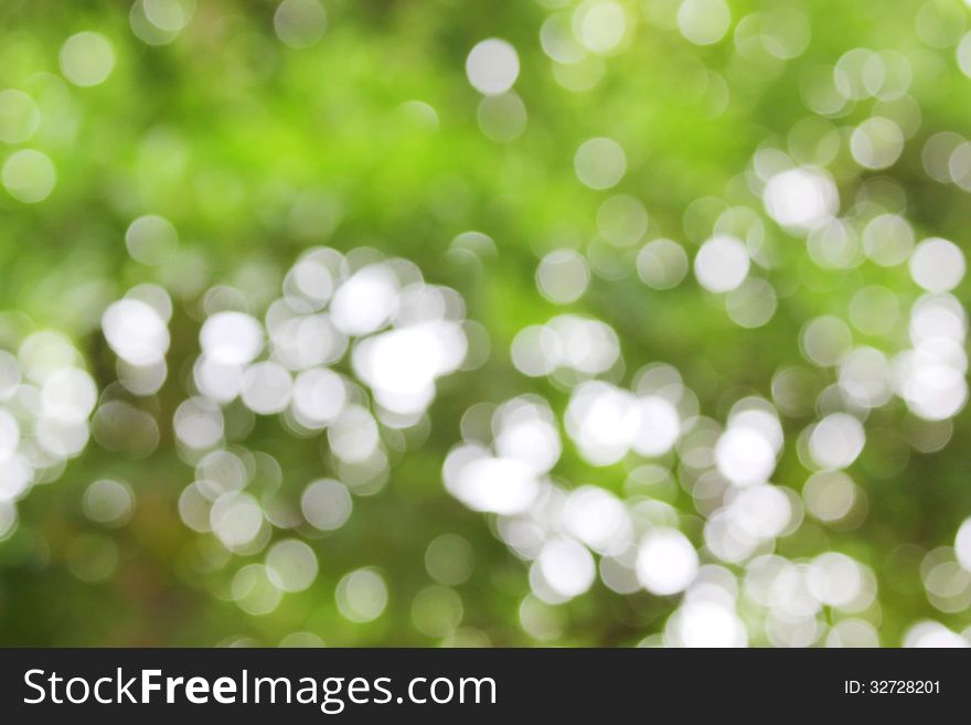 Nature green bokeh abstract background