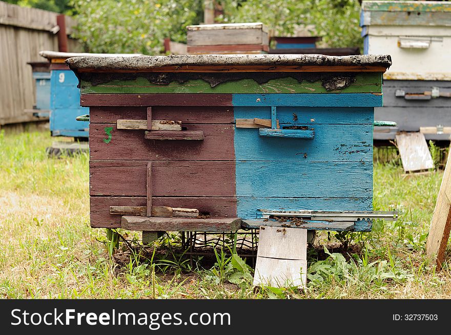 Beehives are in the garden in the hot summer, the bees collect nectar