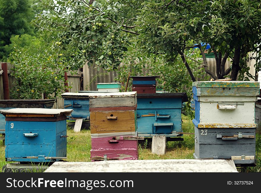 Beehives are in the garden in the hot summer, the bees collect nectar