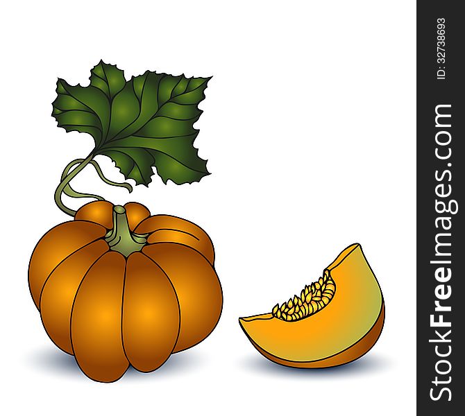 Autumn Pumpkin  On White Background