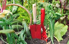 Red Tools And Vegetables Stock Image