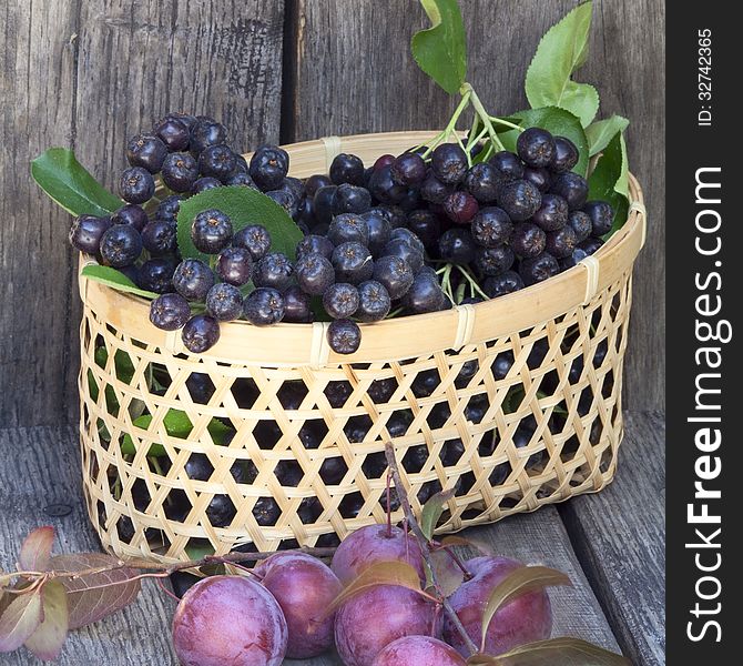 Black chokeberries in a basket and plums. Black chokeberries in a basket and plums