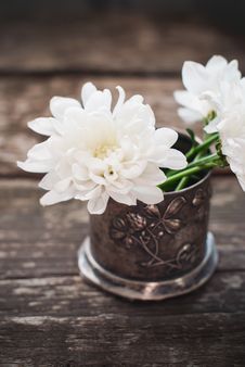 White Flowers Chrysanthemum In The Bowl Royalty Free Stock Image