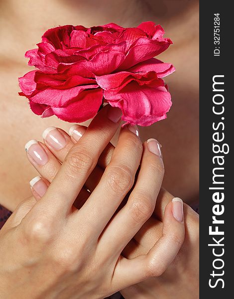 Beautiful female hands with manicure holding rose flower. Beautiful female hands with manicure holding rose flower