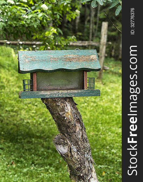 Bird feeder with tree background.