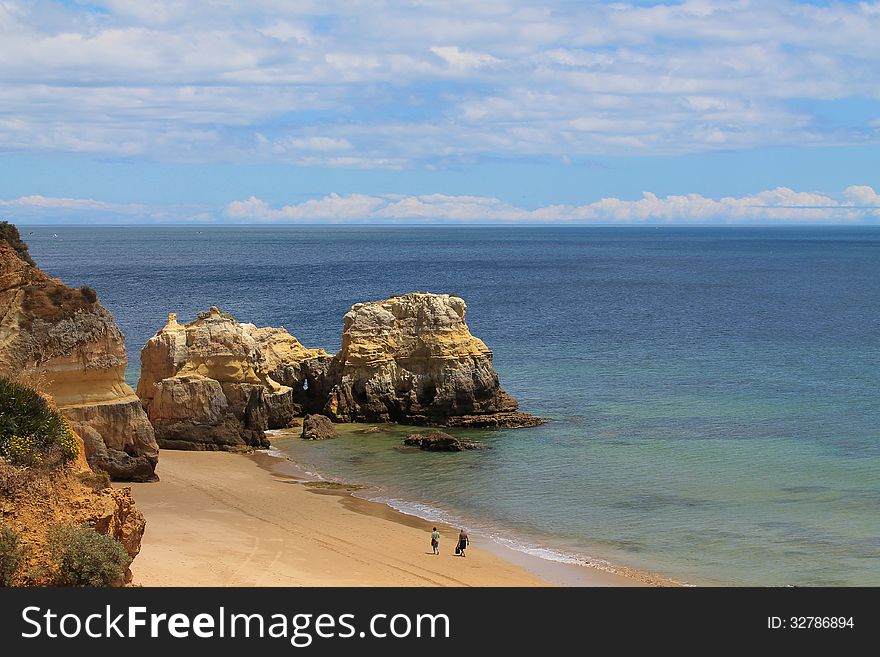 Beautiful sunny sandy beach landscape