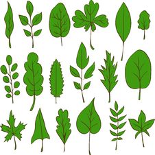 Set Of Vector Leaves Stock Photos