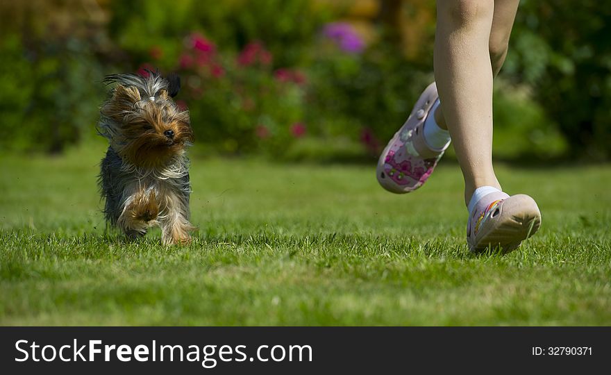 The dog and girl are running on the grass. The dog and girl are running on the grass.