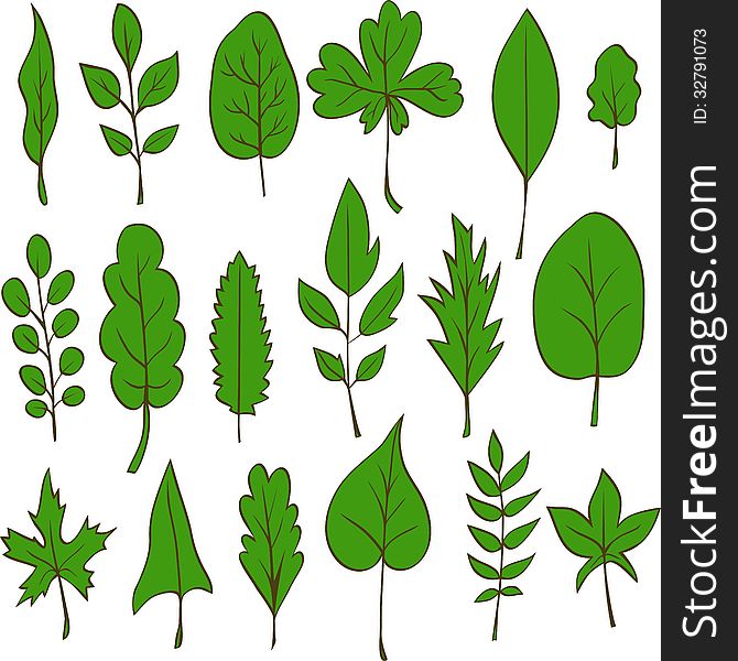 Set of vector leaves