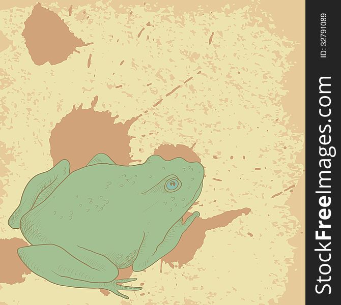 Line drawing frog on vintage background with spots, vector illustration