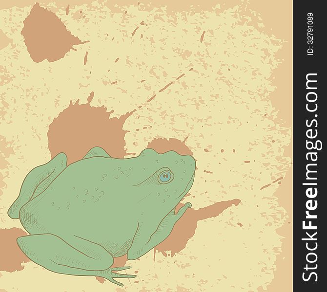 Line drawing frog on vintage background with spots