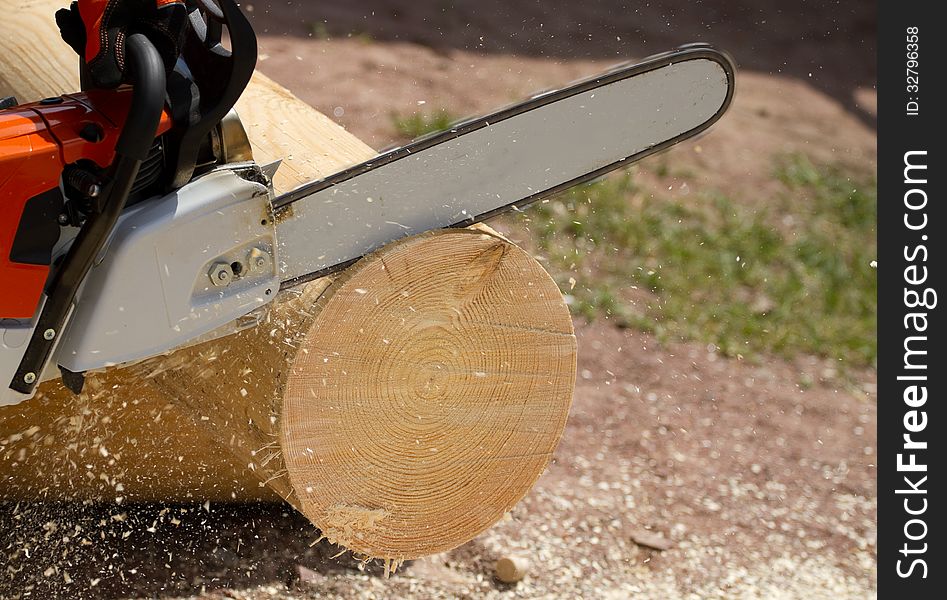 Man with chainsaw cutting the tree