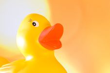 Rubber Duck Royalty Free Stock Image