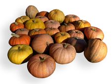 Ripe Pumpkins Stock Image Ripe Pumpkins Stock Image