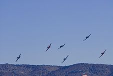 War Birds In Flight Royalty Free Stock Photography