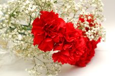 Posy Stock Photo Posy Stock Photo