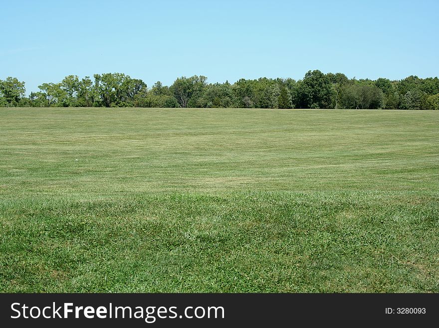 A Field with blue sky and trees