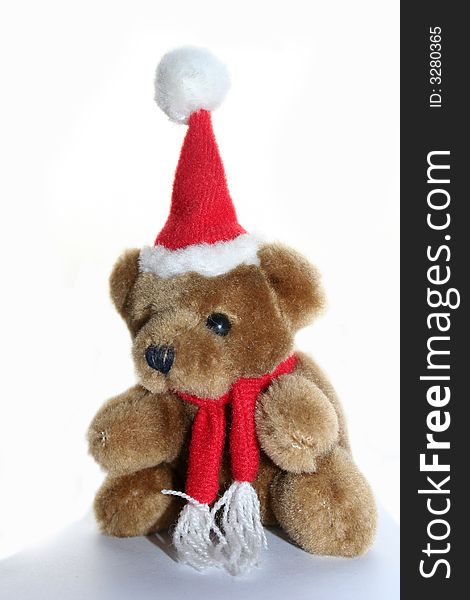 Teddy Bear In Christmas Cap