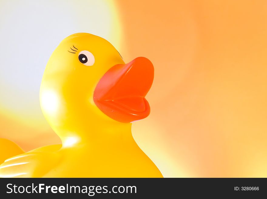 Rubber duck  in the bath