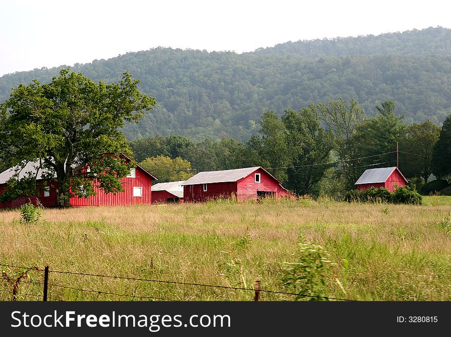 Red barns across a field in a rural setting