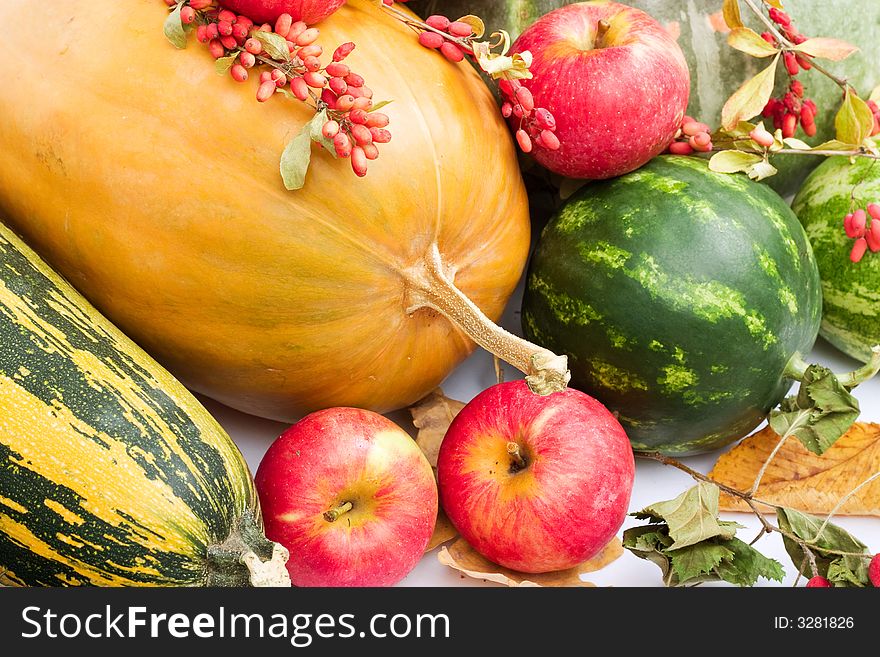 Colorful pumpkins, apples, water melons. Colorful pumpkins, apples, water melons