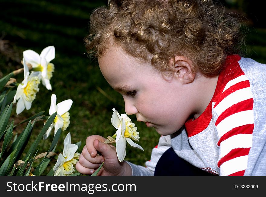 Smelling the Flowers