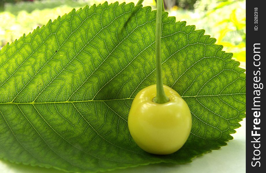 Yellow cherry on a yellow background
