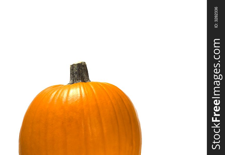 Bright orange pumpkin on white background with copy space