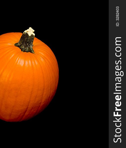 Orange pumpkin with stem on a black background. Orange pumpkin with stem on a black background