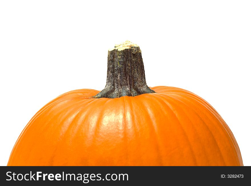 Bright orange pumpkin on white background with copy space