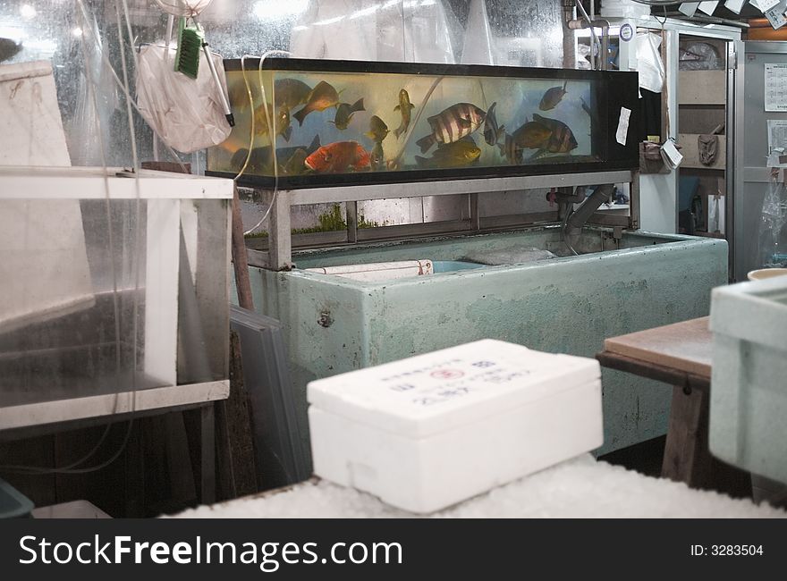 Tropical fish swim in a tank in a shop. Tropical fish swim in a tank in a shop.