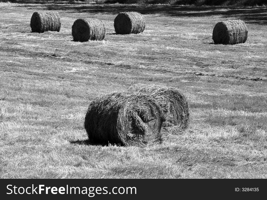 Hay field in summer somewhere in Polish village. Hay field in summer somewhere in Polish village