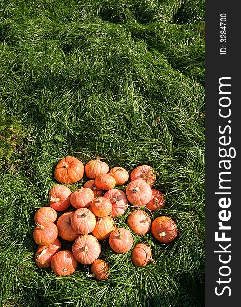 Autumn background - grass and pumpkins - with copy space for your text. Autumn background - grass and pumpkins - with copy space for your text.
