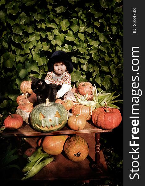 Old-styled photo of little girl in hat with pumpkins and black cat. Special toned photo f/x, vignette added, copy space on top. Old-styled photo of little girl in hat with pumpkins and black cat. Special toned photo f/x, vignette added, copy space on top