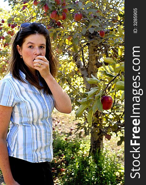 Woman eating an apple she's just picked from a nearby tree. Woman eating an apple she's just picked from a nearby tree.