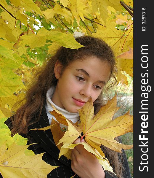 The young beautiful girl with yellow leaves in an autumn. The young beautiful girl with yellow leaves in an autumn