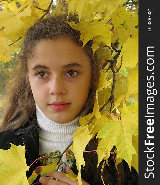 The young sad girl with yellow leaves in an autumn. The young sad girl with yellow leaves in an autumn