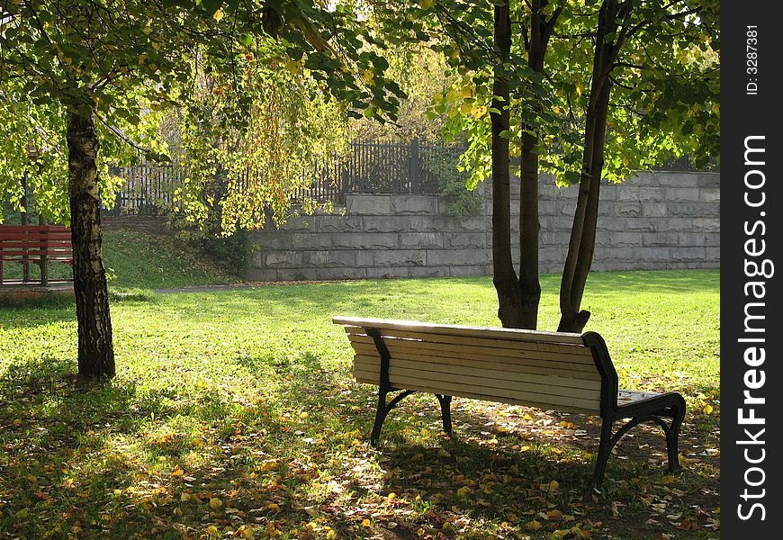 A bench and yellow leaves  in a park