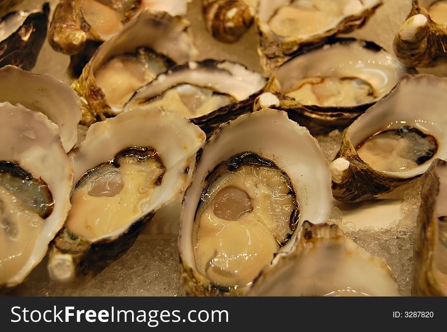 A close up shot of oysters for sale at the market. A close up shot of oysters for sale at the market