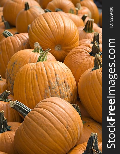 Many pumpkins of different sizes for sale as fall decorations. Many pumpkins of different sizes for sale as fall decorations.